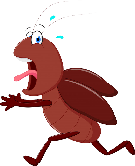 A Cartoon Of A Bug Running