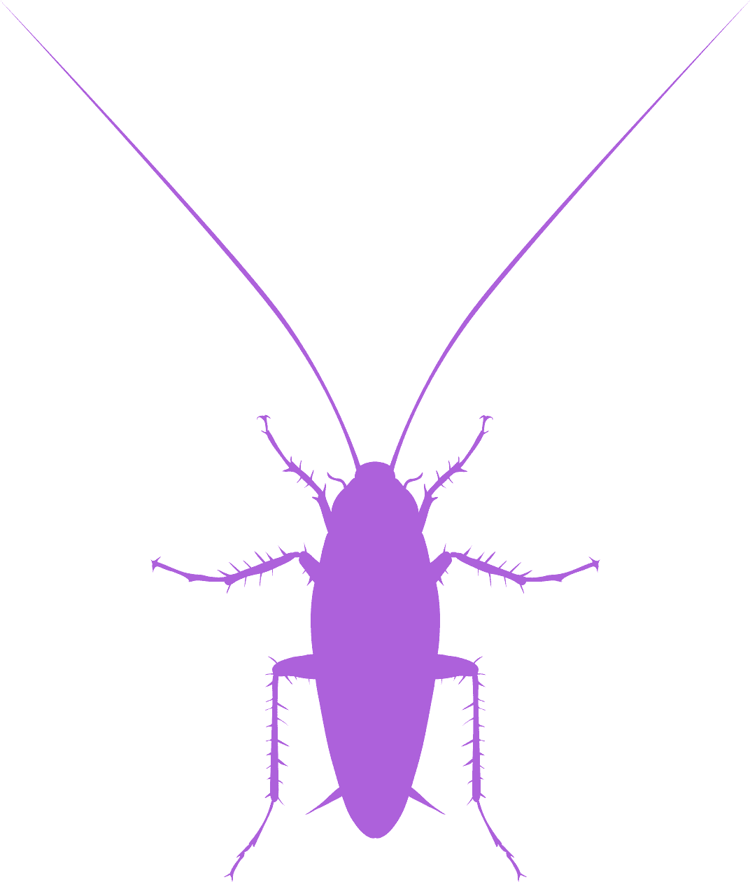 A Purple Bug With Long Antennae