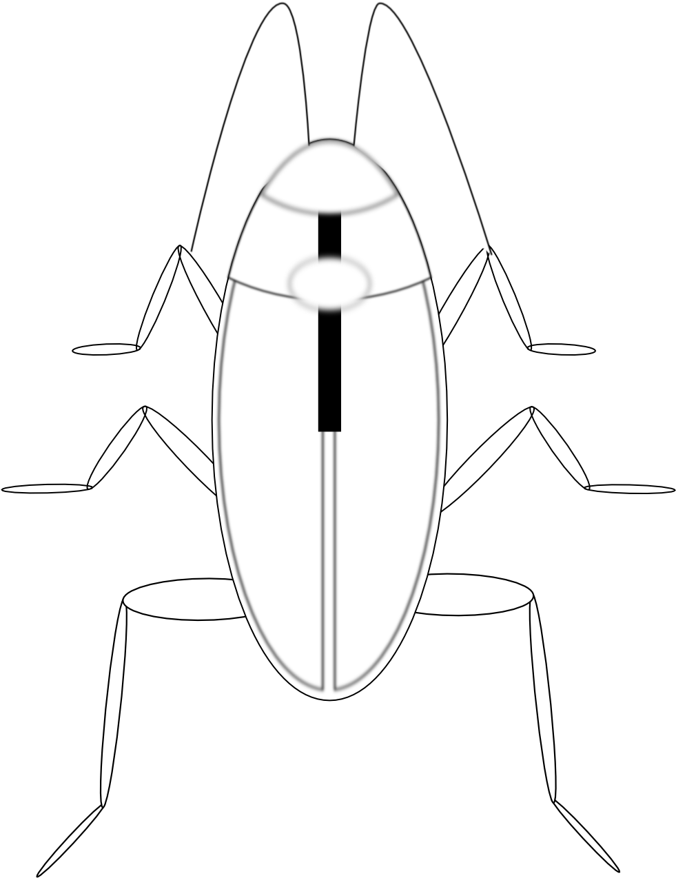 A White Bug With Black Stripes