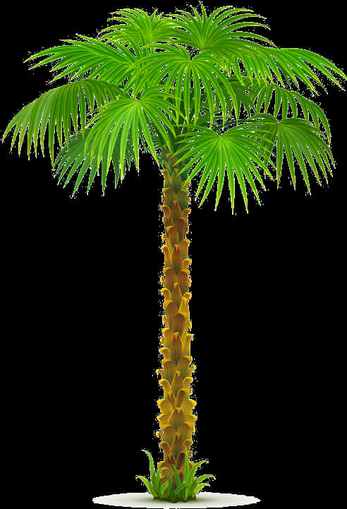 Download Coconut Trees Png File