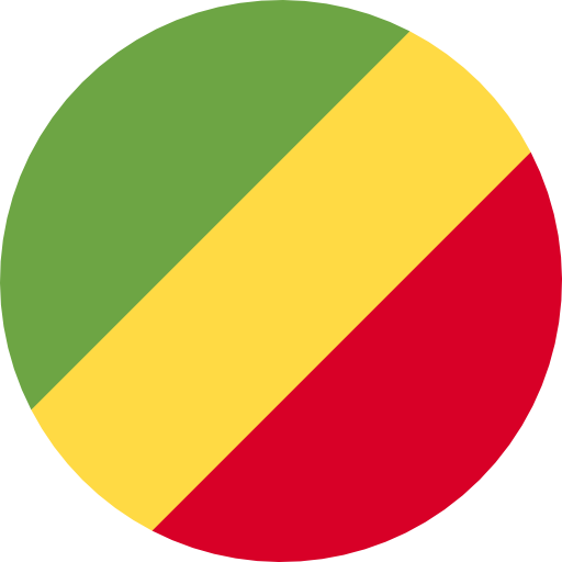 A Red Green Yellow And Black Flag