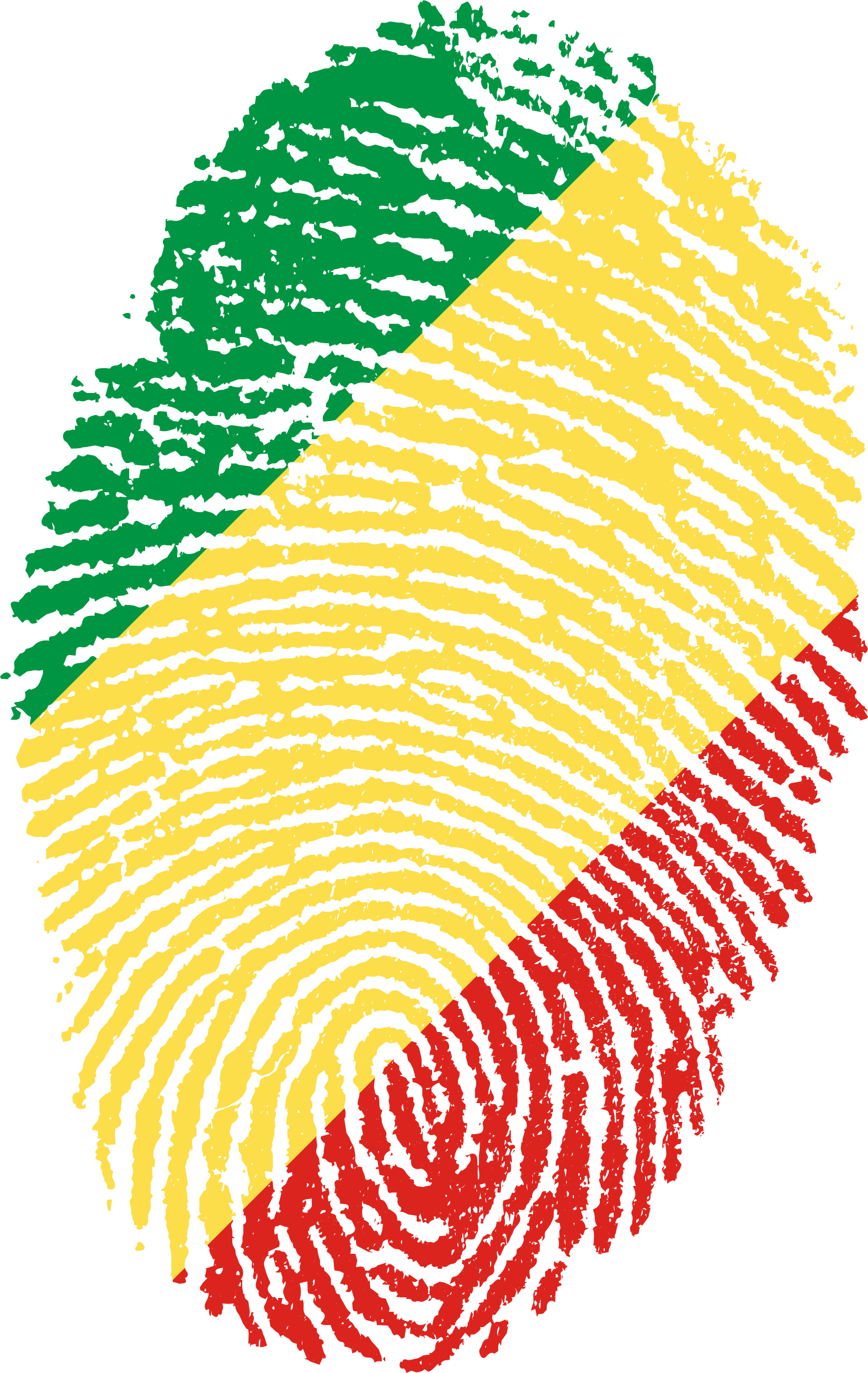 A Fingerprint With A Red Yellow And Green Stripe