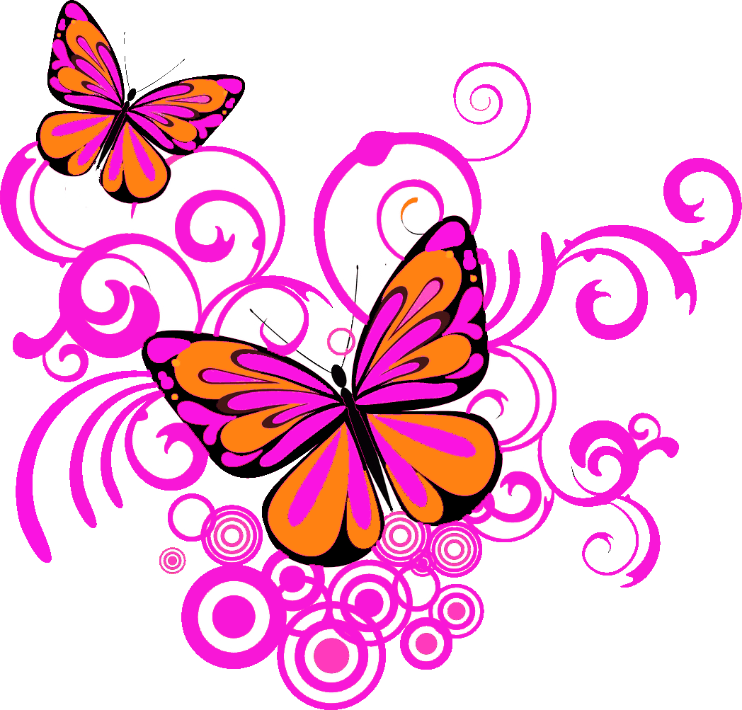 A Butterfly With Pink And White Swirls
