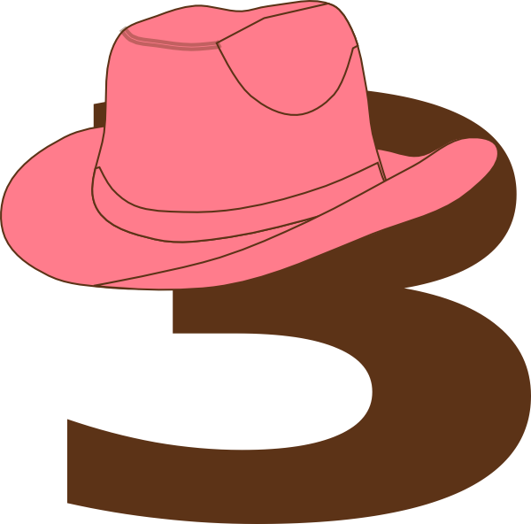 A Pink Hat On A Brown Number