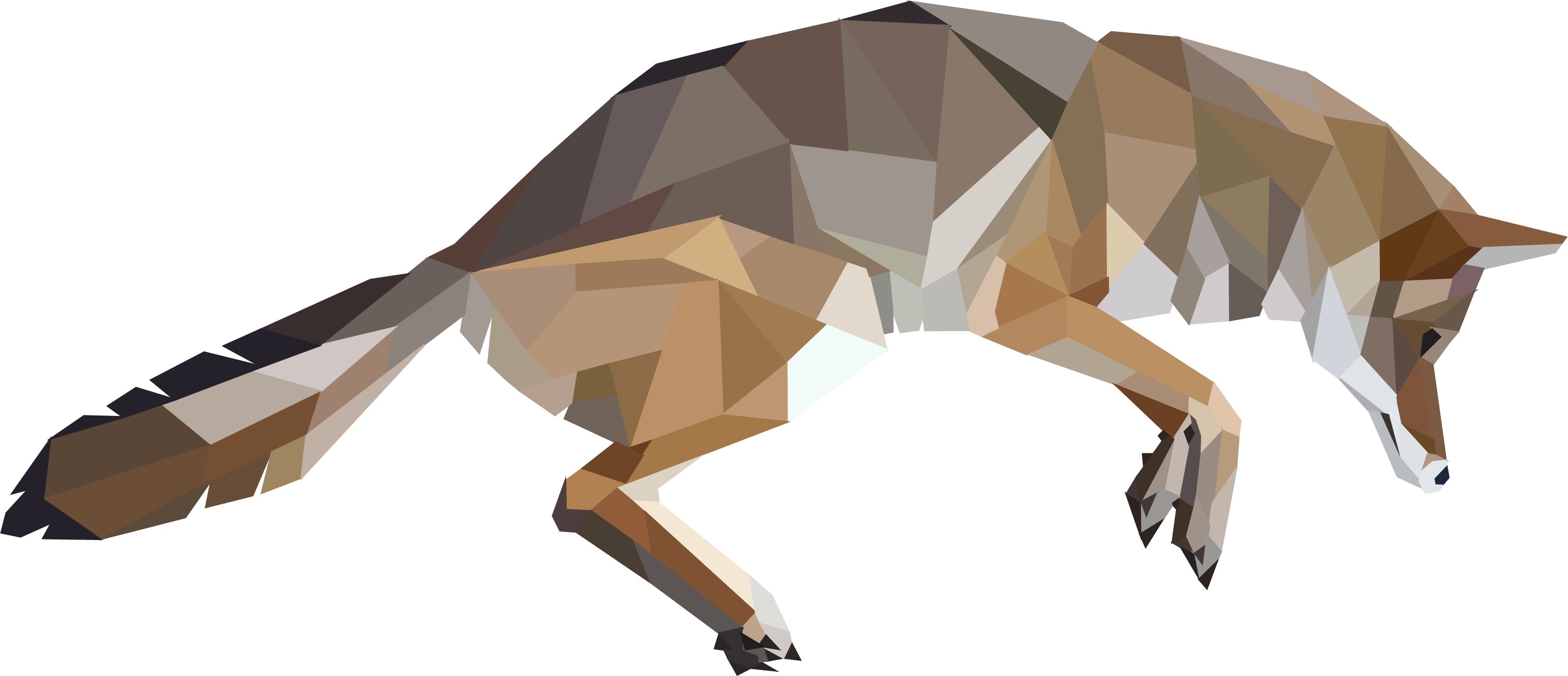 Low Polygonal Dog With Black Background