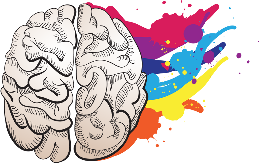 A Brain With Colorful Paint Splashes