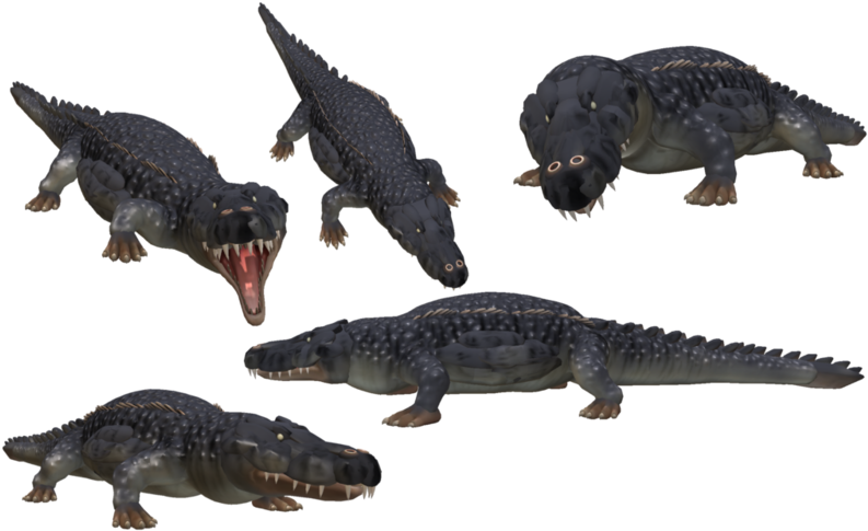 A Group Of Alligators With Sharp Teeth