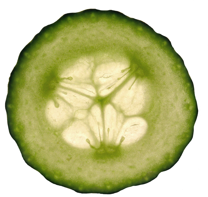 A Slice Of Cucumber With A Black Background