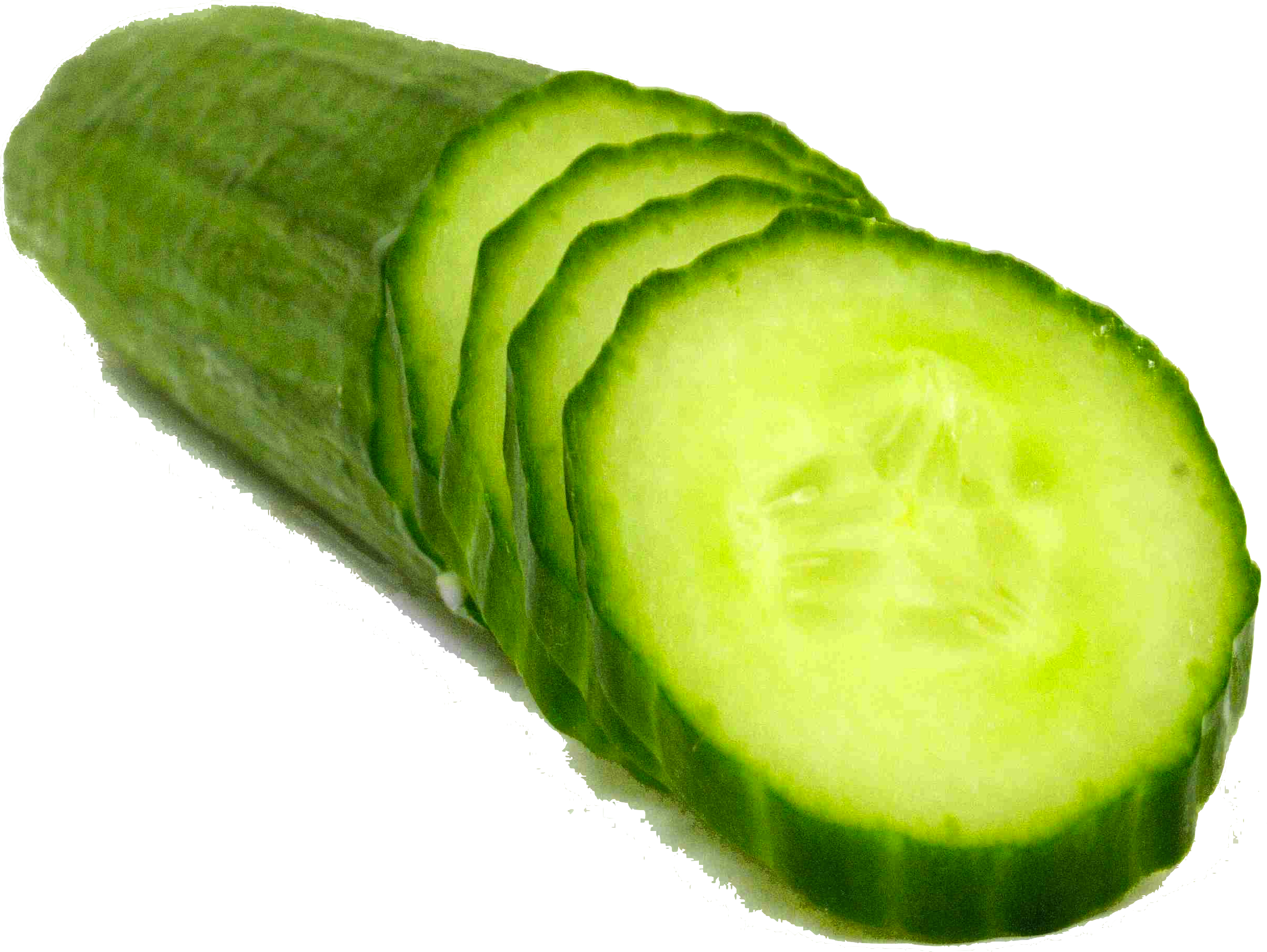A Cucumber Sliced In A Row