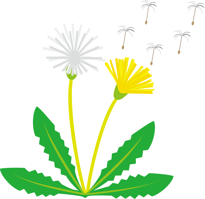 A Dandelion Flower With Dandelions Flying Out Of It