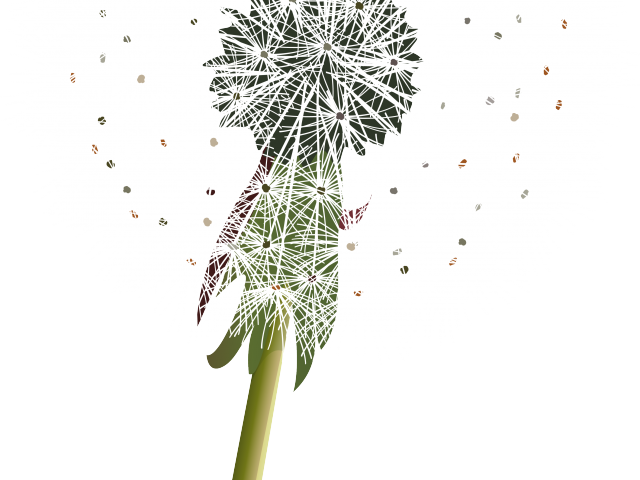 A Close Up Of A Dandelion