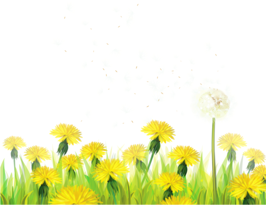 A Dandelion Flower In A Field Of Grass