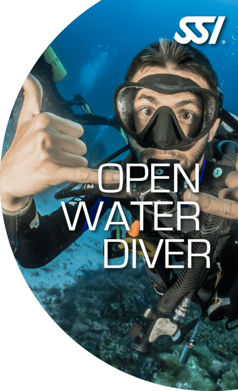Diver Png 486 X 800