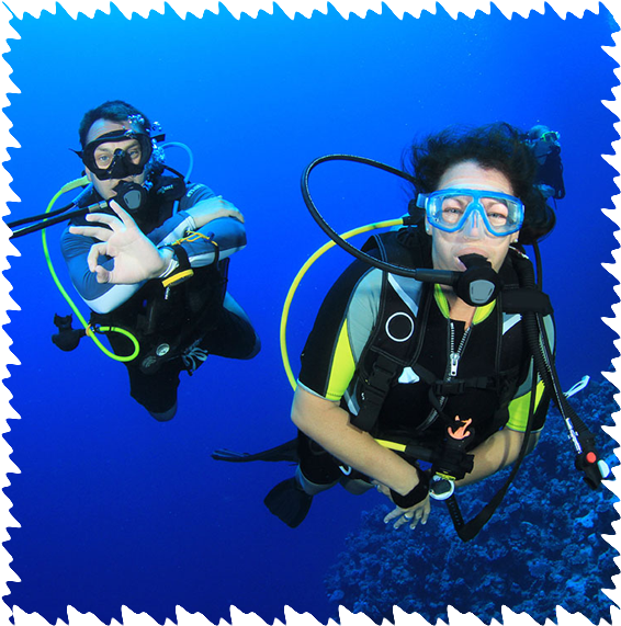 Diver Png 566 X 571