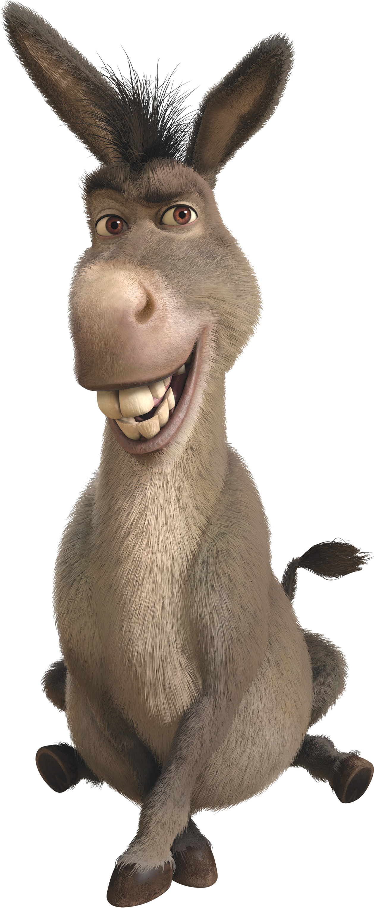 A Donkey Smiling With A Black Background
