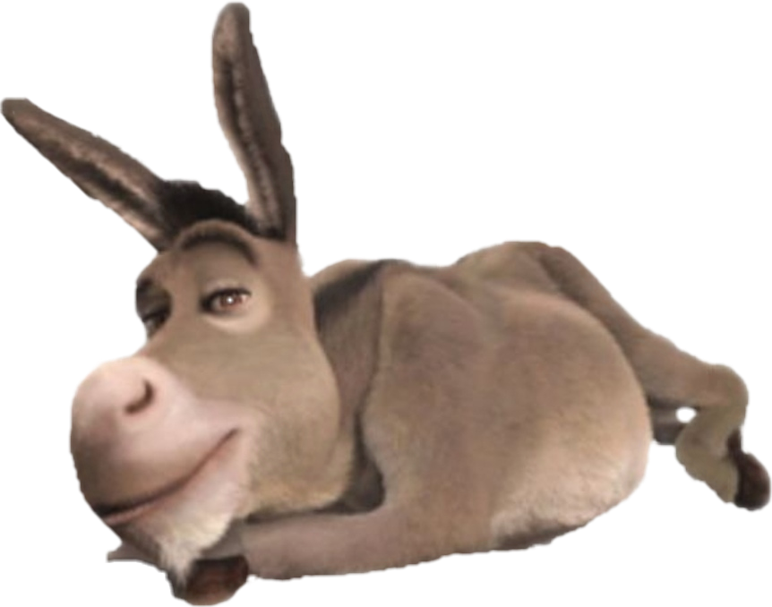 A Donkey Lying Down With A Black Background
