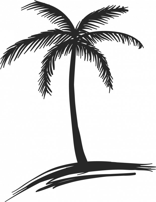 A Black And White Drawing Of A Palm Tree