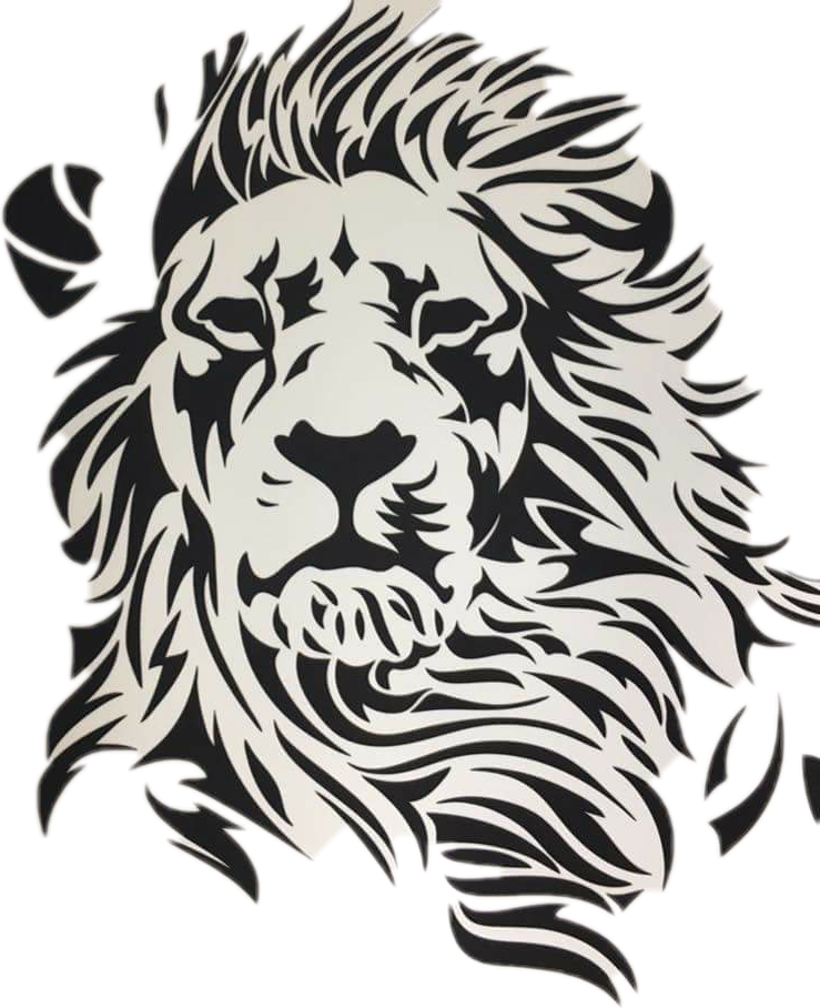 A Lion With A Black Background