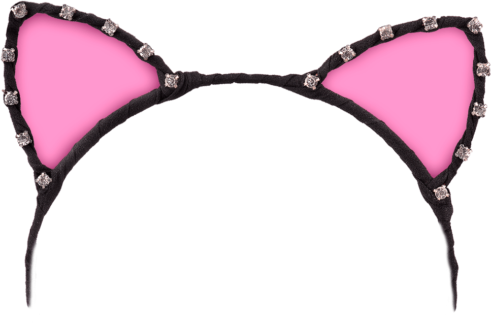 A Pair Of Pink Cat Ears