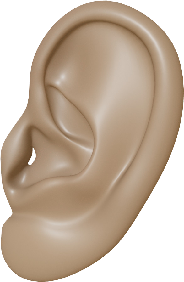 A Close Up Of A Human Ear