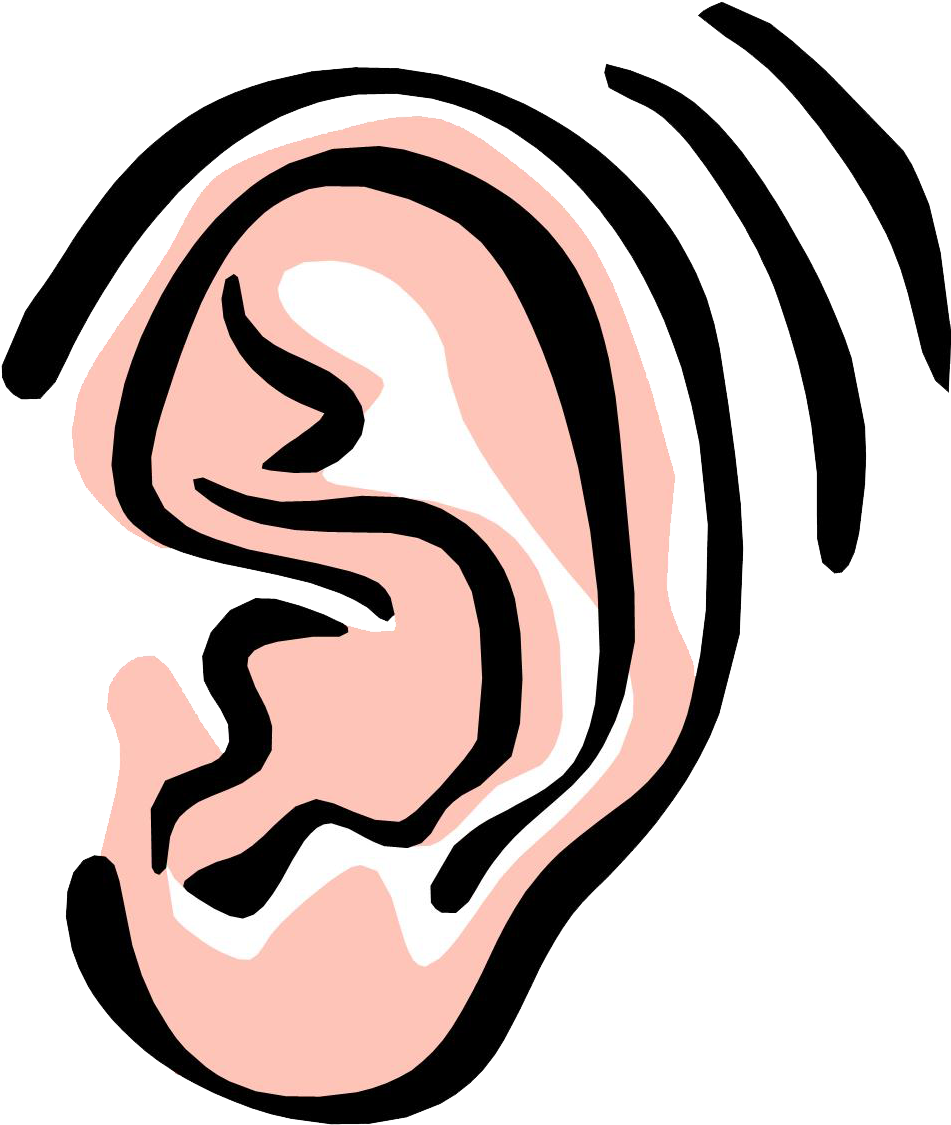 A Close Up Of A Human Ear