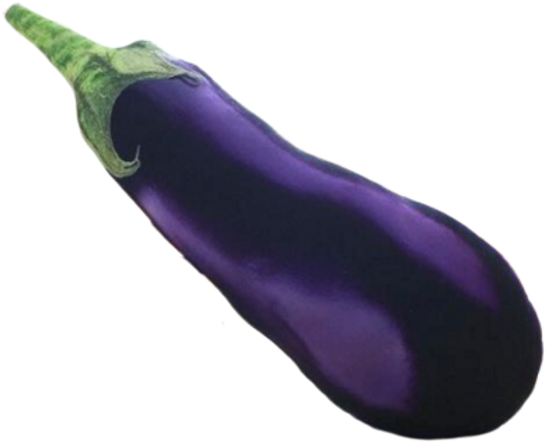 A Purple Eggplant With A Green Stem