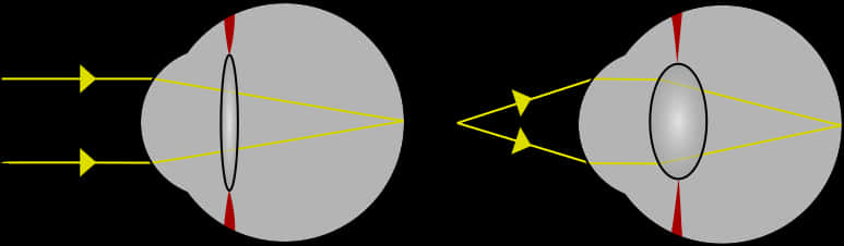 A Grey Circle With Yellow Triangles