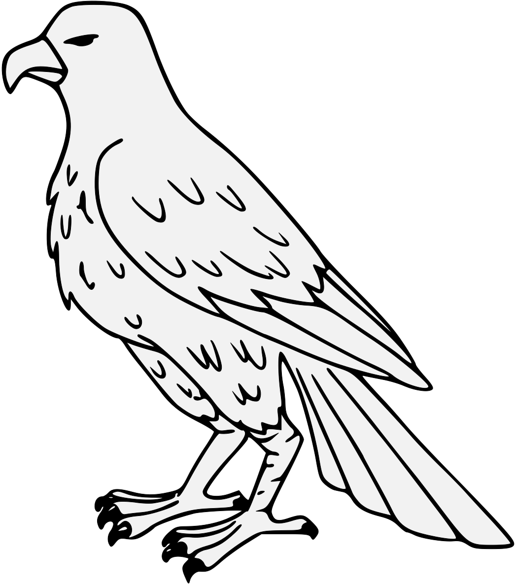 A White Bird With A Black Background