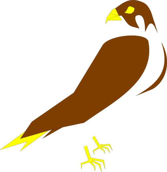 A Brown And White Bird With Yellow Beak