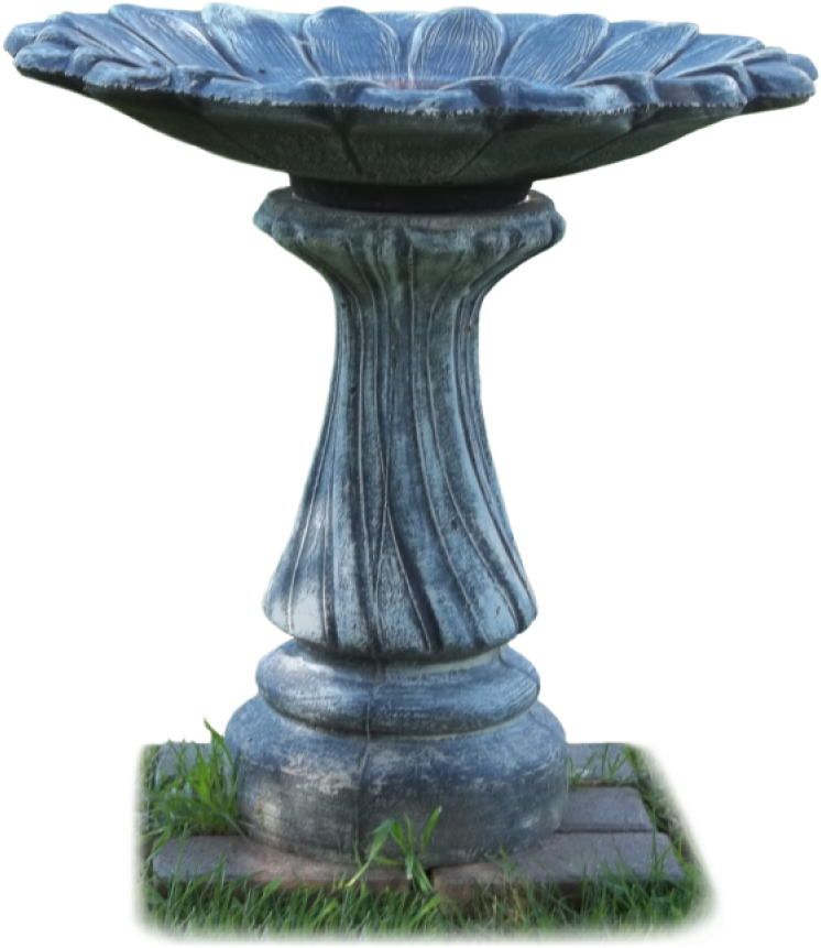 A Bird Bath On A Stone Pedestal