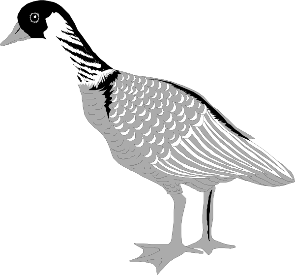 A Black And White Drawing Of A Duck