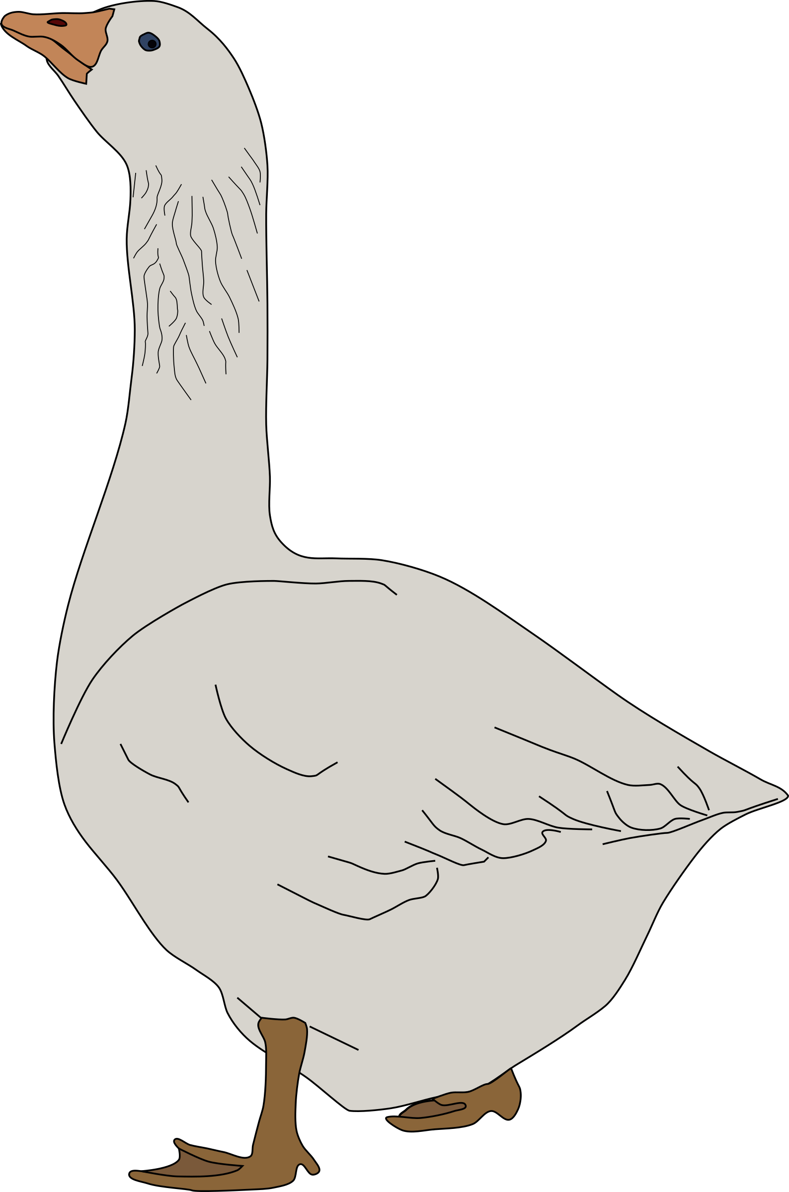 A White Goose With A Black Background