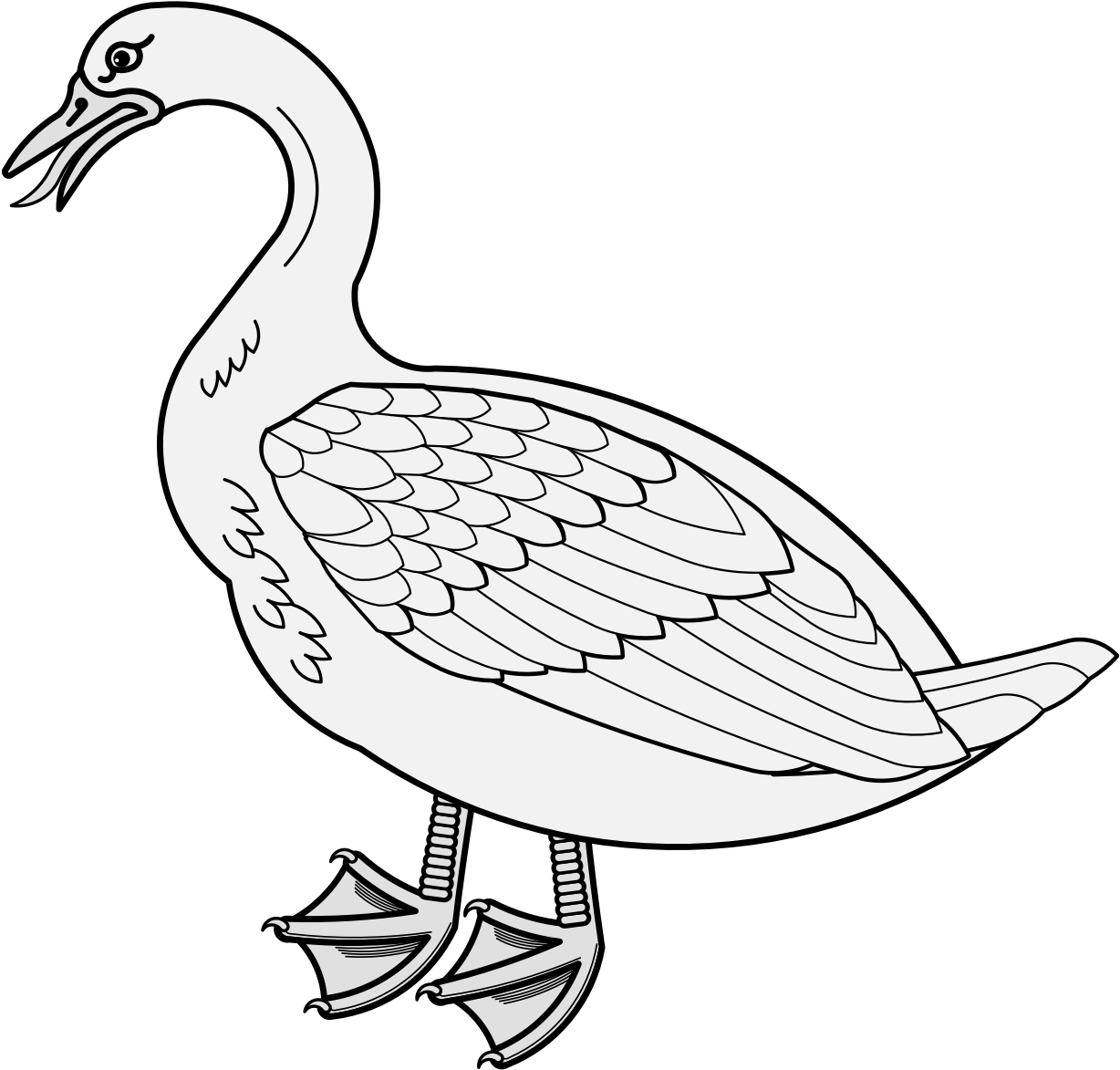 A White Duck With Black Background