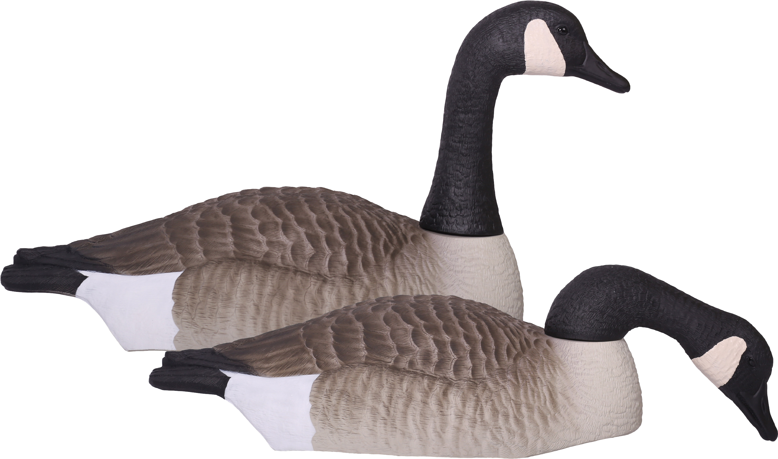 A Pair Of Geese On A Black Background
