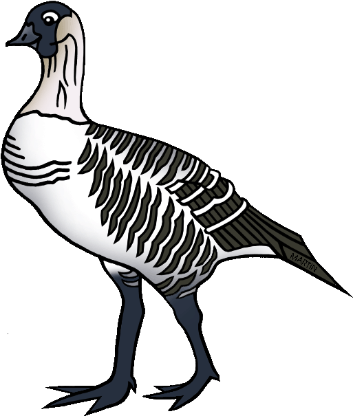 A Bird With Black And White Stripes
