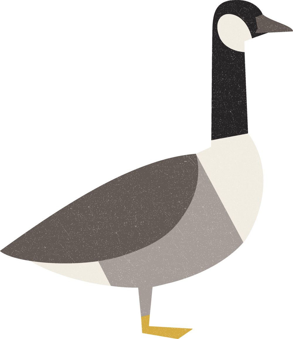 A Cartoon Of A Goose