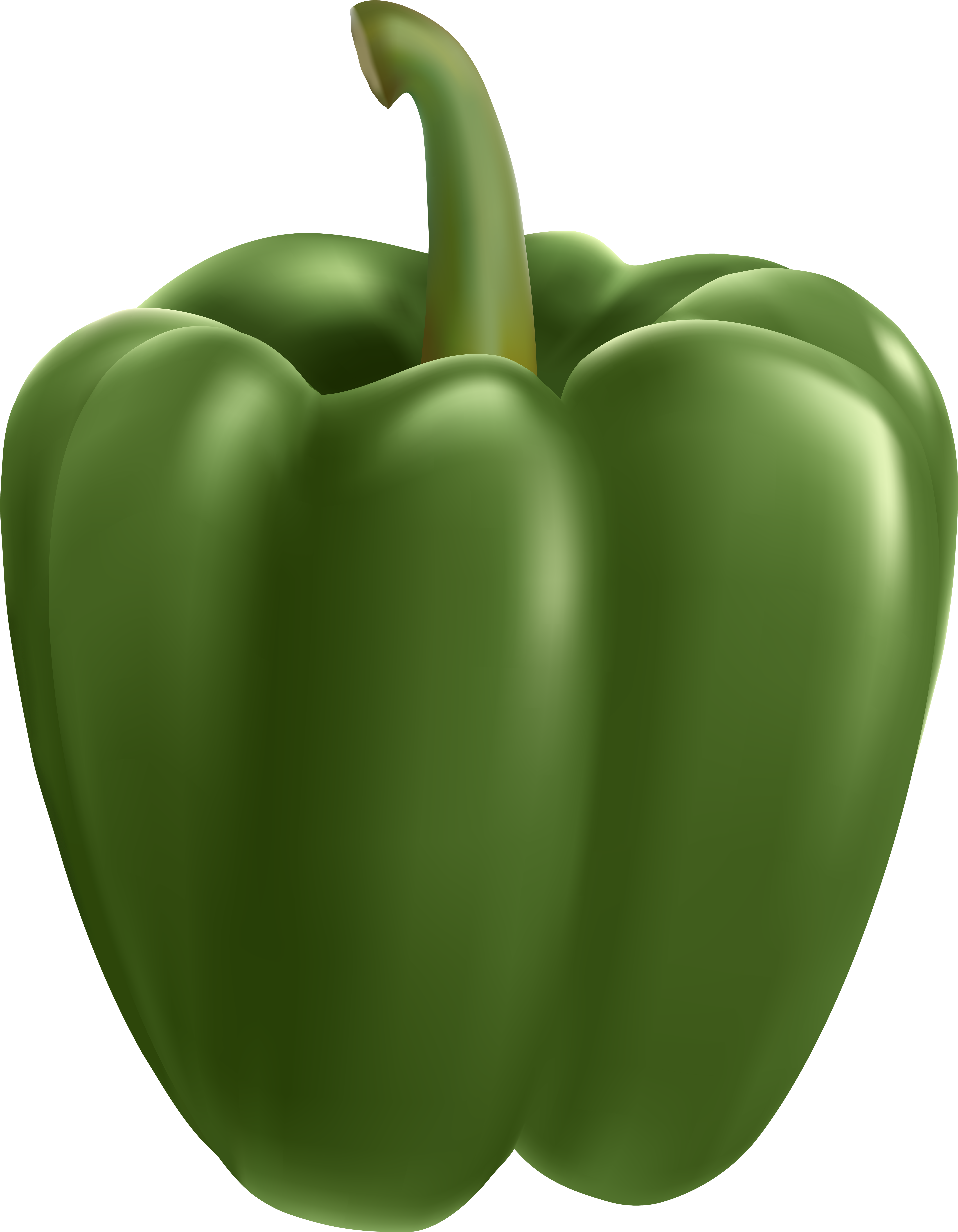 A Green Bell Pepper With A Stem