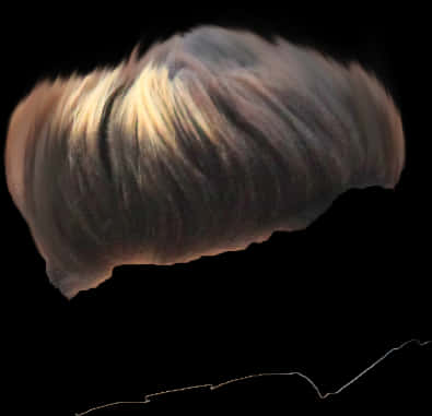 A Close Up Of A Hair