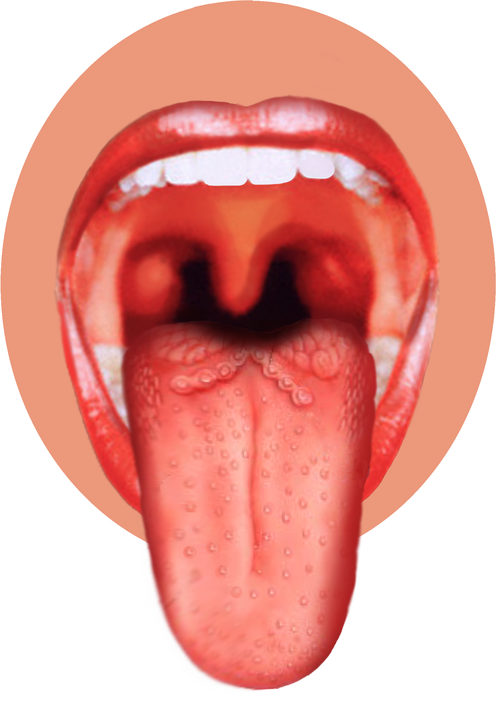 A Close Up Of A Person's Mouth And Tongue