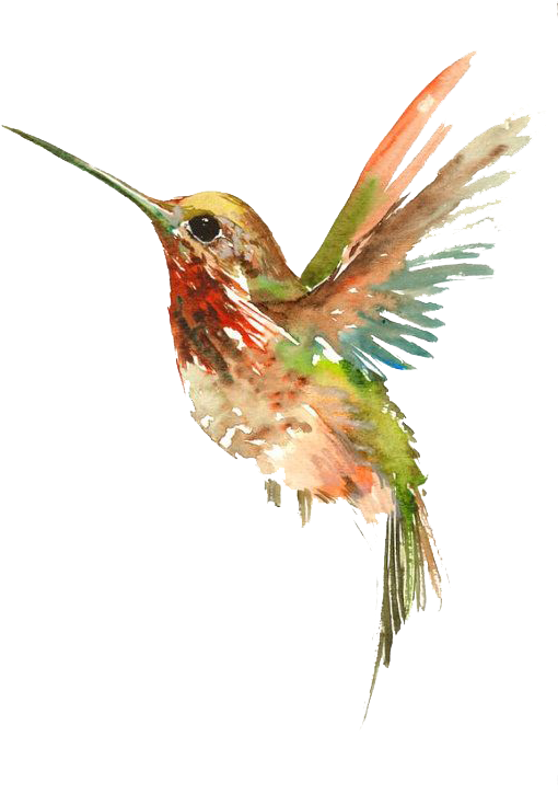 A Watercolor Of A Hummingbird
