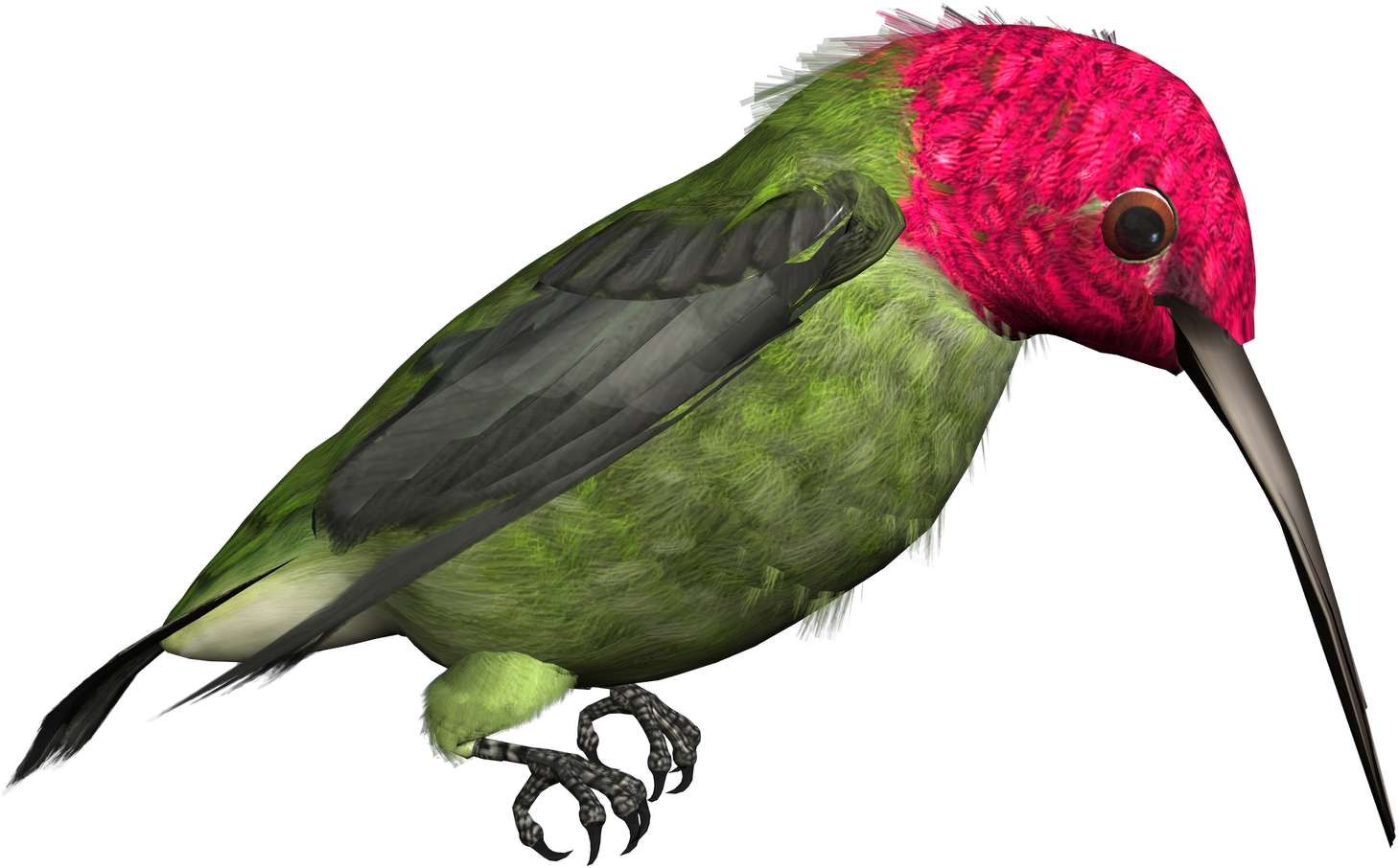 A Green And Pink Bird