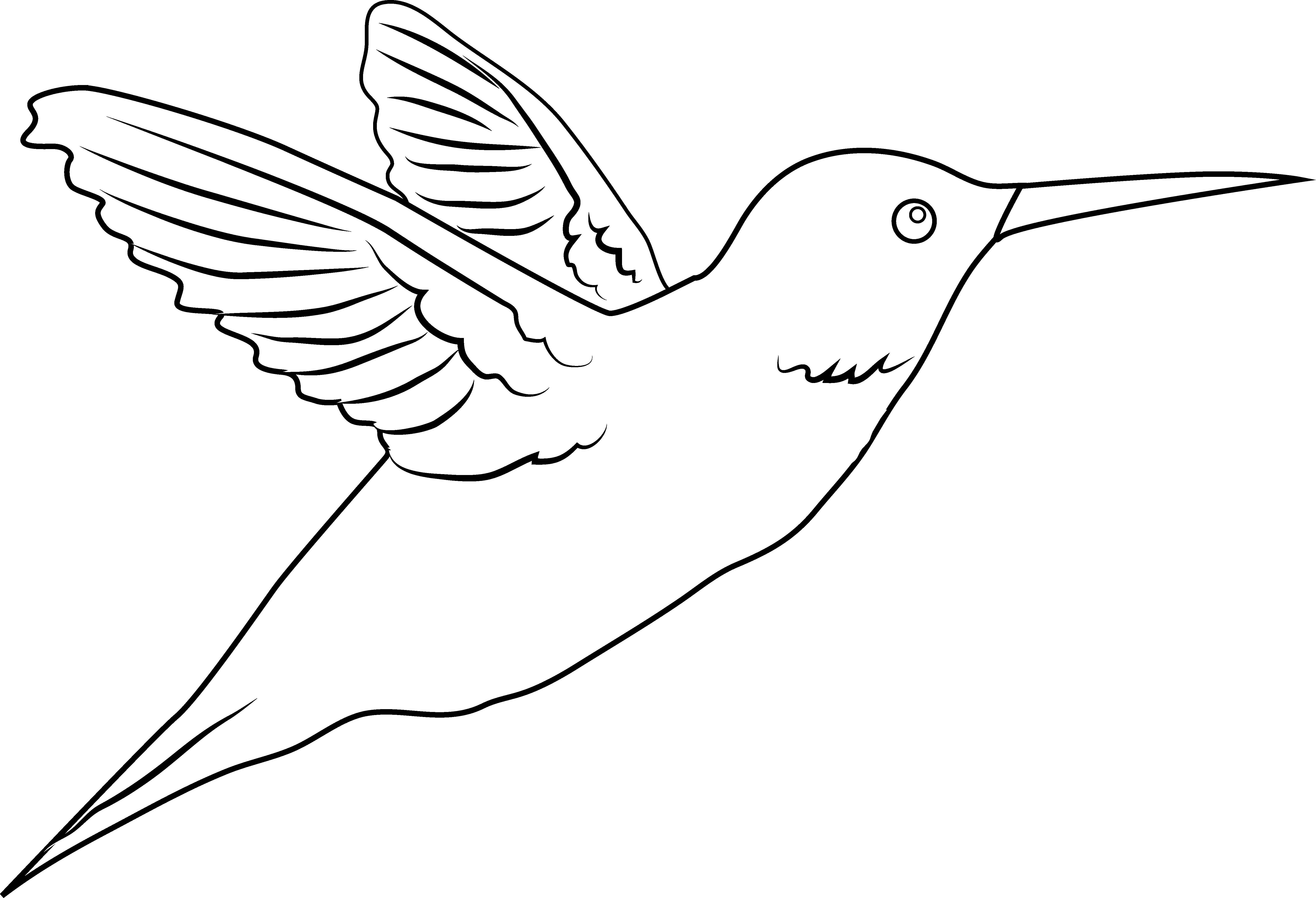 A White Bird With Wings Spread