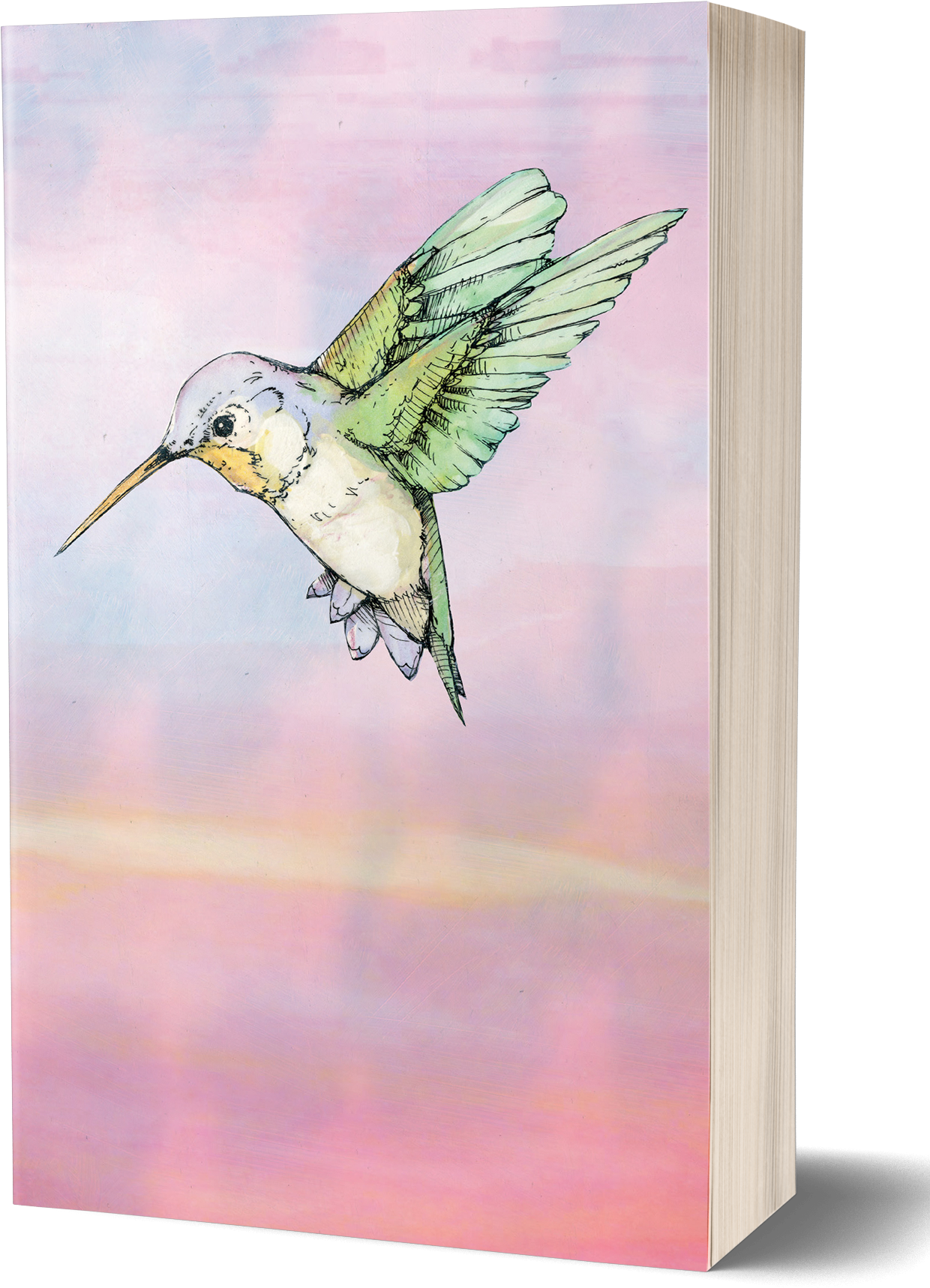 A Book With A Drawing Of A Hummingbird