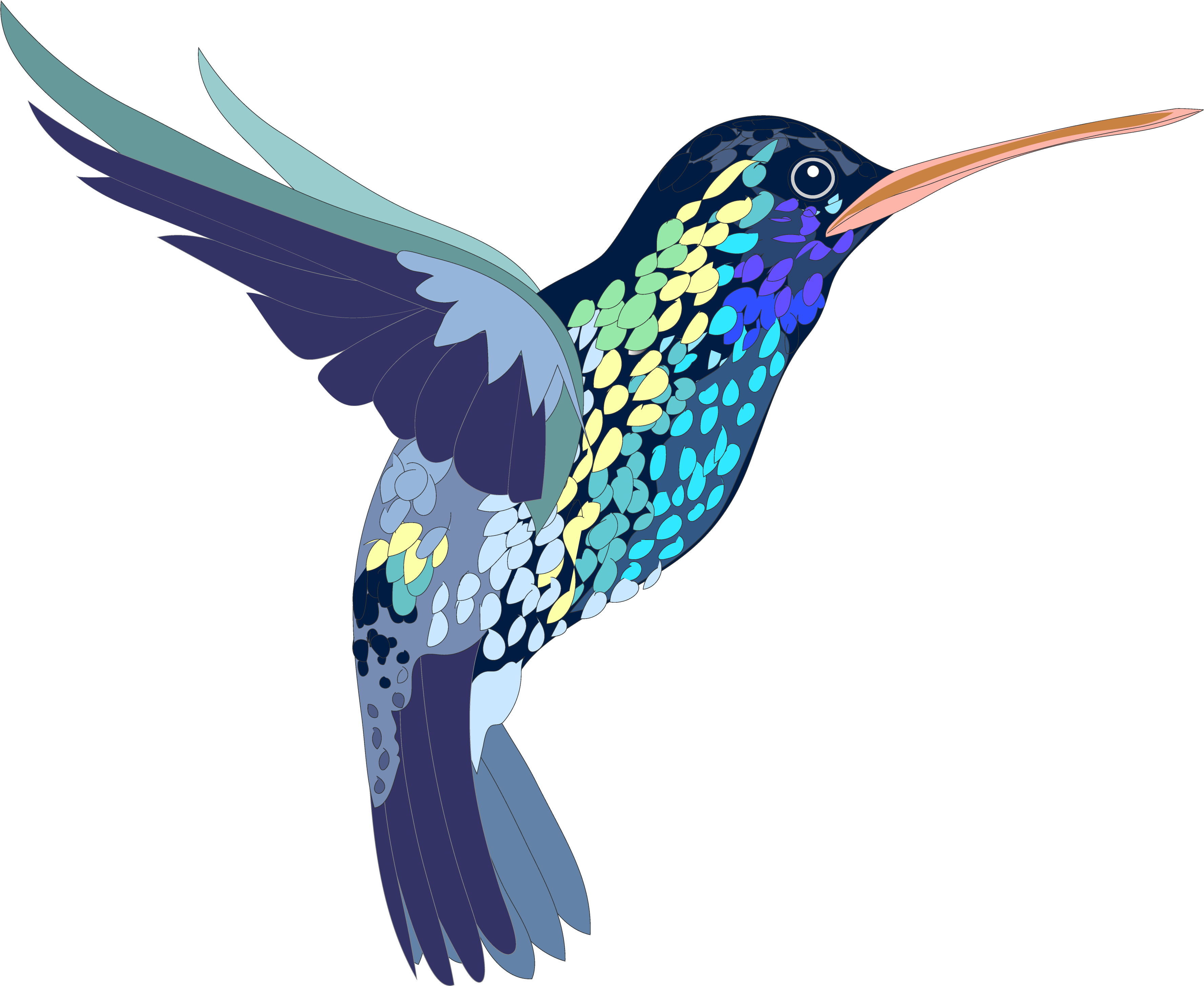 A Colorful Bird With A Long Beak