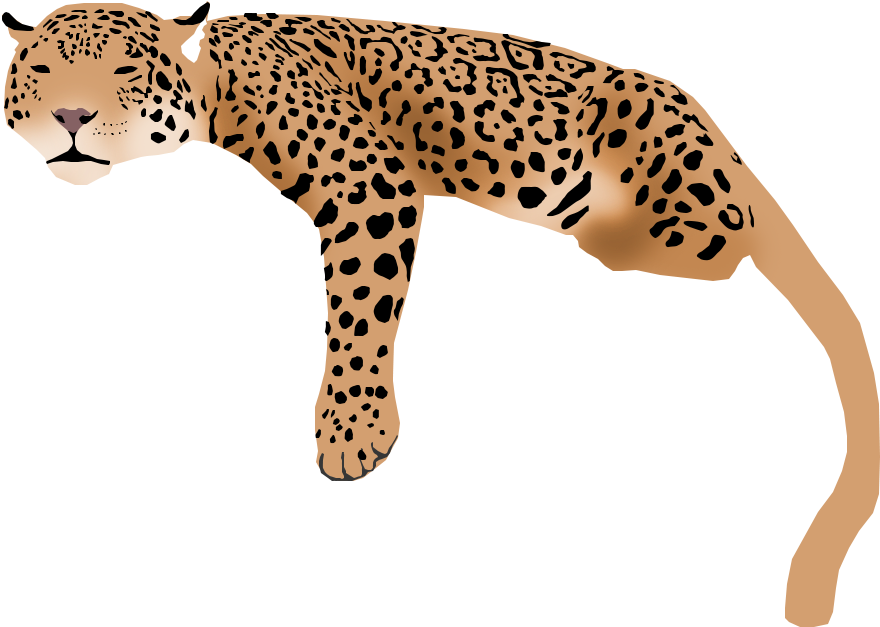 A Cheetah With Black Spots