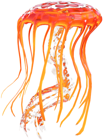 A Jellyfish With Long Tentacles