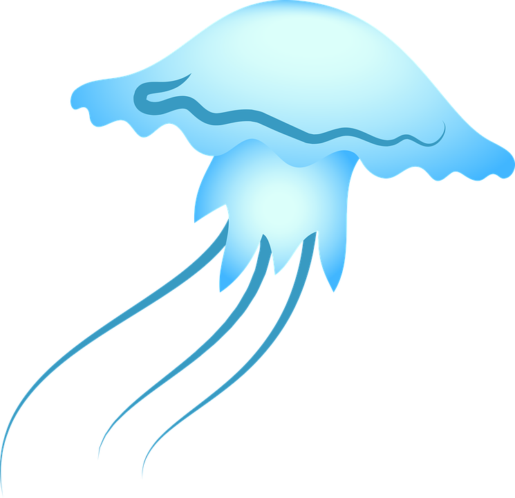 A Blue Jellyfish With Long Tails