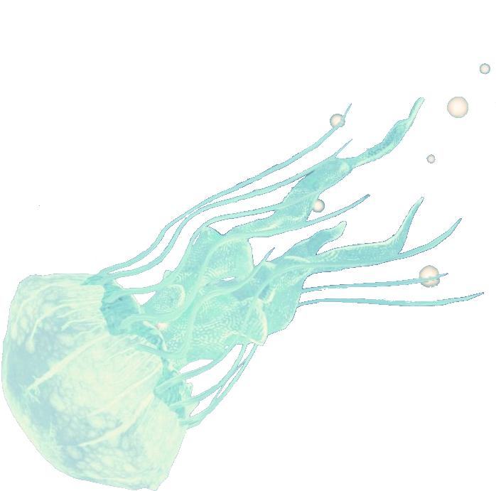 A Blue Jellyfish With White Tentacles