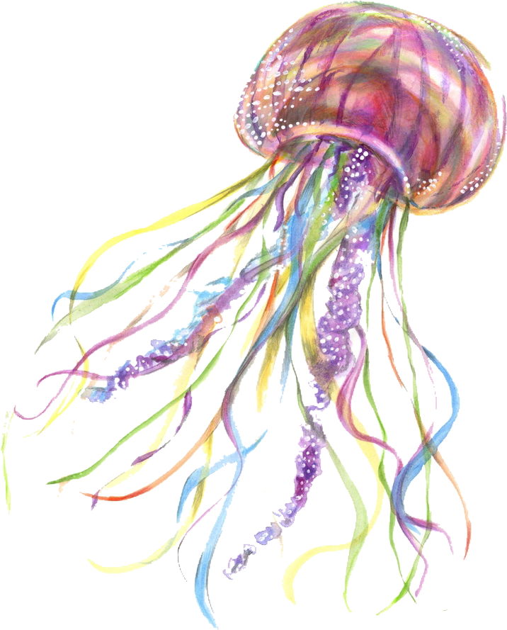 A Colorful Jellyfish With Long Tentacles