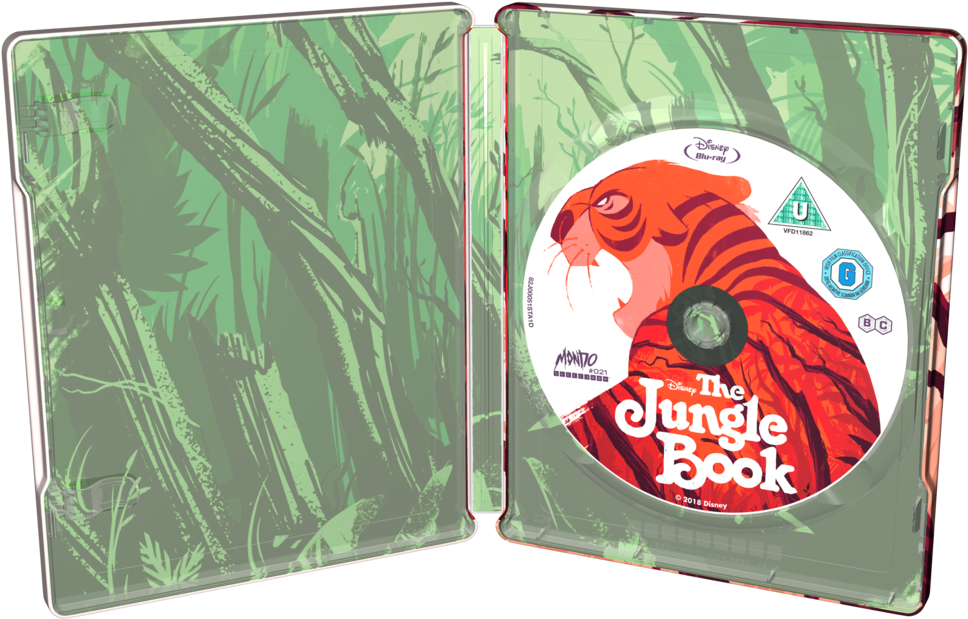 Jungle Png 968 X 619
